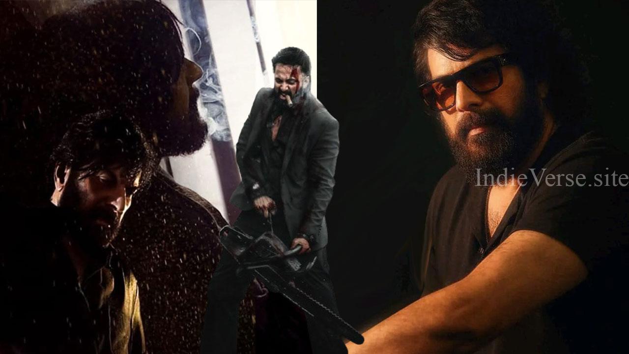 Маммутти в Марко 2